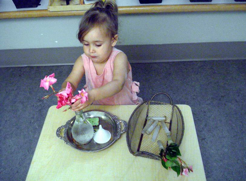 Child under 3 arranging fresh flowers