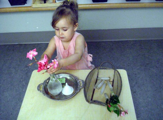 Child arranging flowers