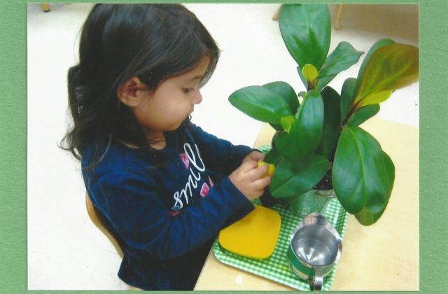 Child under 3 washing leaf of a plant