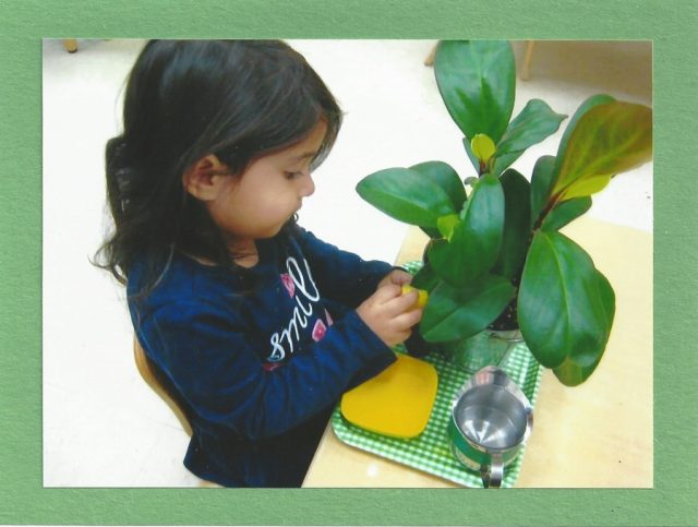 Child under 3 washing leaf of a plant