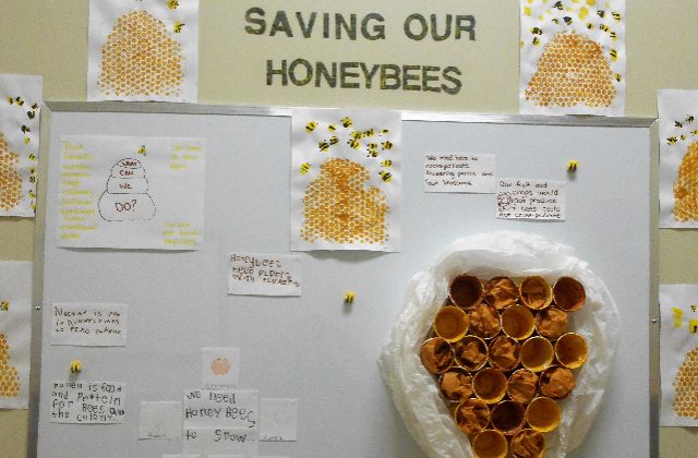Saving our Honeybees Display