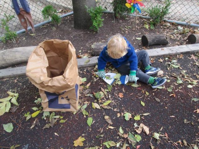 Child sweeping leaves into a dustpan