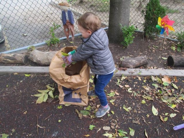 Child putting leaves into a yard waste bag