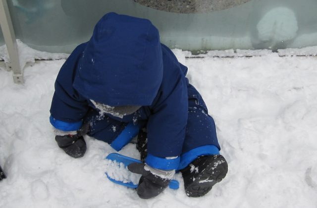 Child under 2 scooping snow