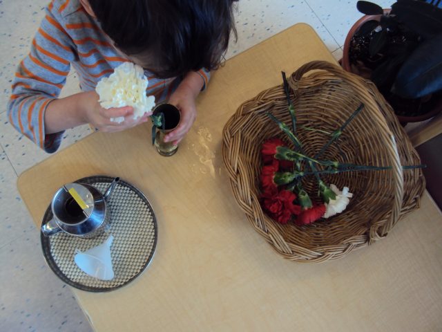 Child arranging fresh flowers