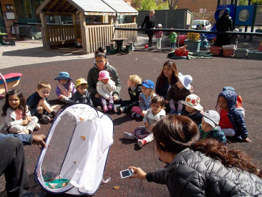 Children watching butterflies fly away