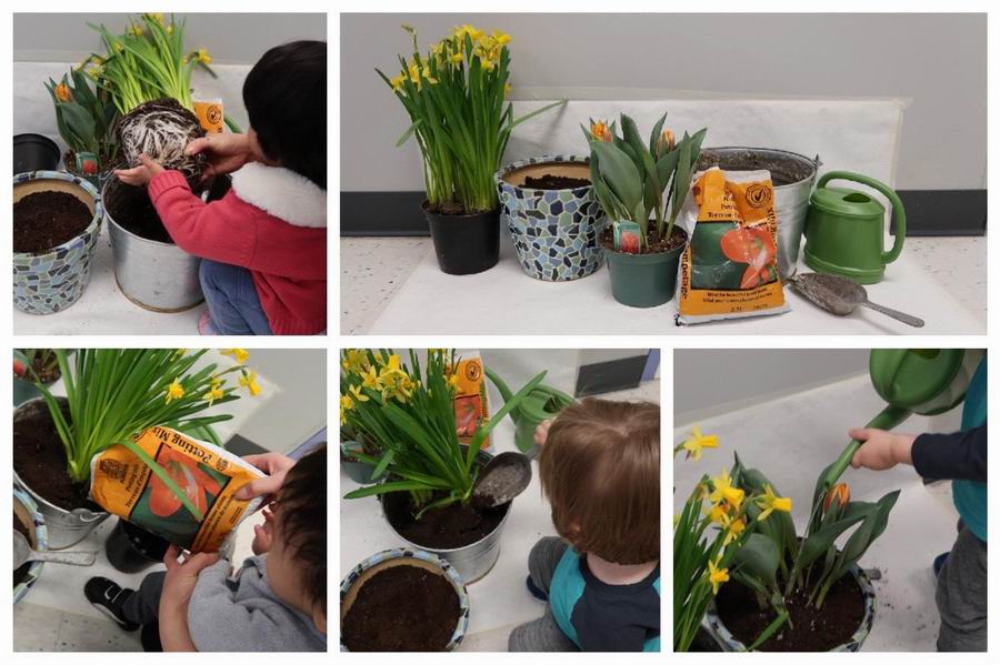 Children planting flowers in a pot