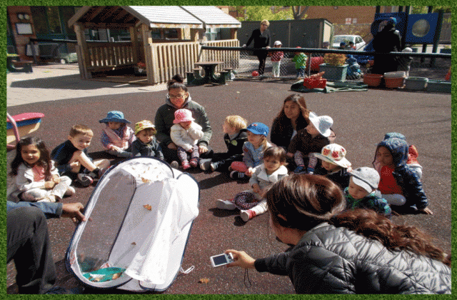 Children watching butterflies being released into the playground