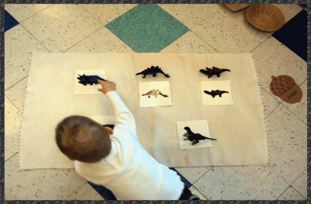 A child matching dinosaur figurines to nomenclature cards