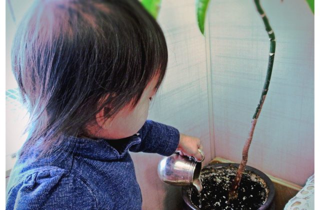 Child under 2 watering a plant