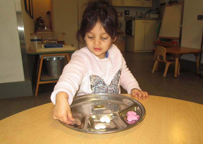 Child sorting objects into 3 compartments