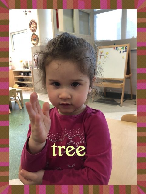 Child under 3 signing 'tree'.