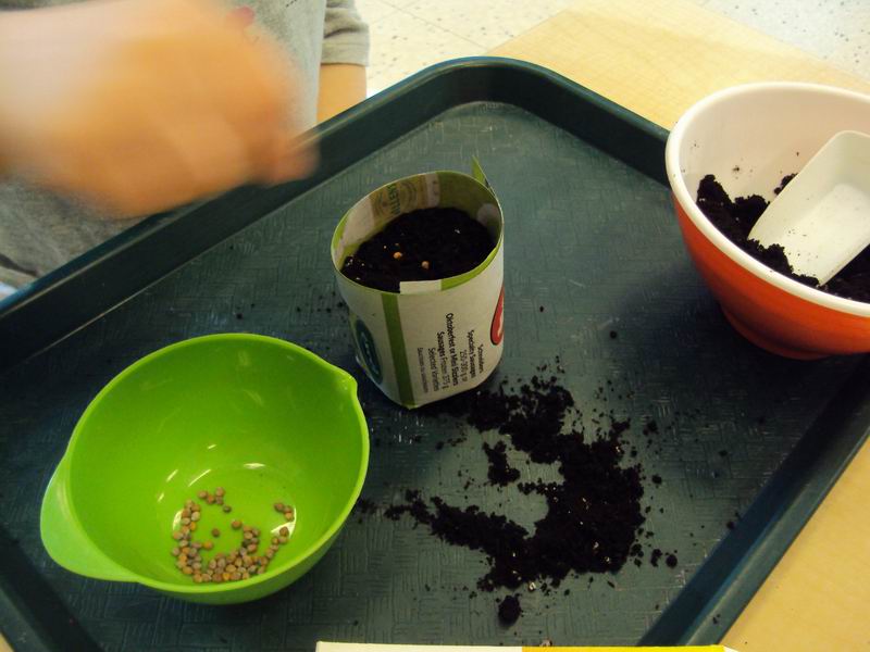 Making biodegradable planters