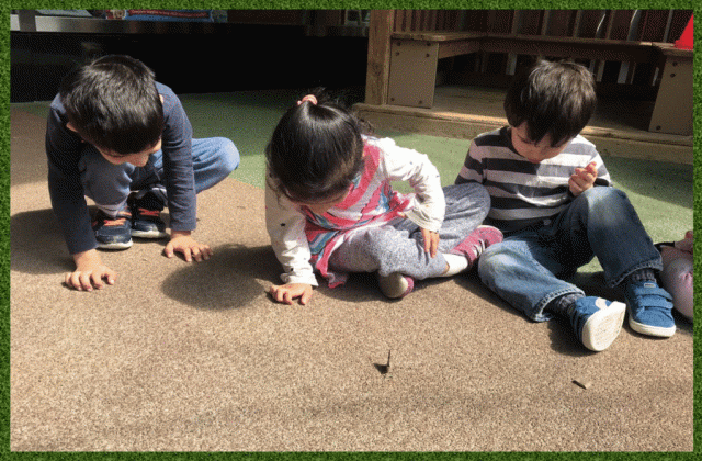 Children observing butterflies in the playground