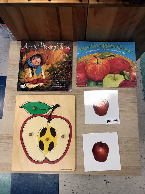 Apple puzzle, books, and nomenclature cards