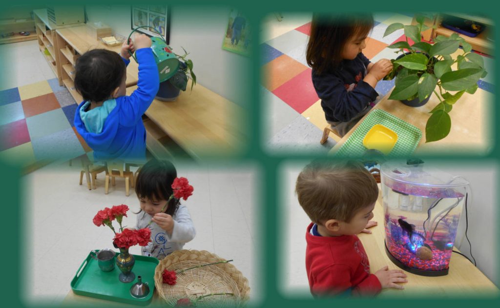 Children under 3 exploring nature in the classroom