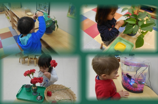 Children under 3 exploring nature in the classroom