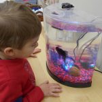 Child under 3 observing aquarium