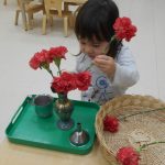 Child under 3 flower arranging