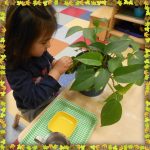 Child under 3 washing leaves