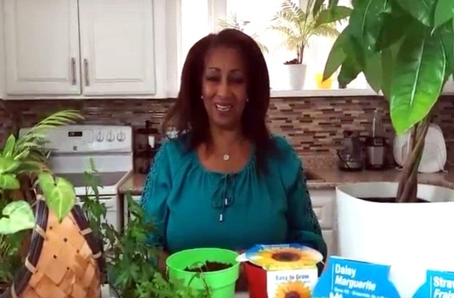 Abeba planting flowers