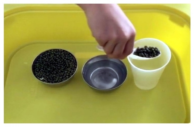 Scooping lentils into a cup