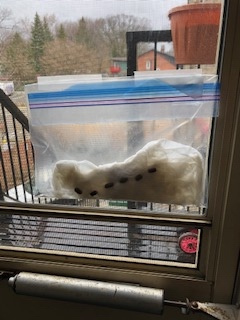 Baggie with beans in a window