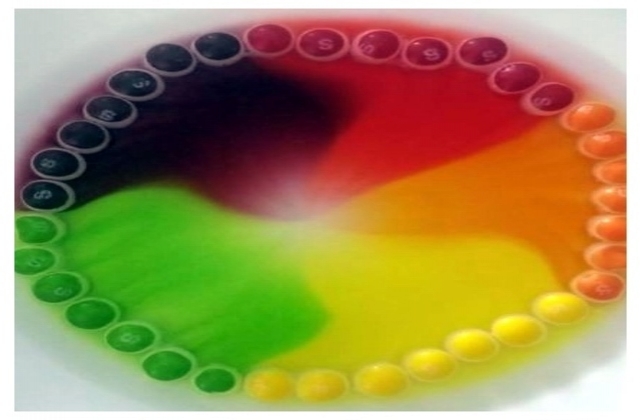 Skittles rainbow experiment