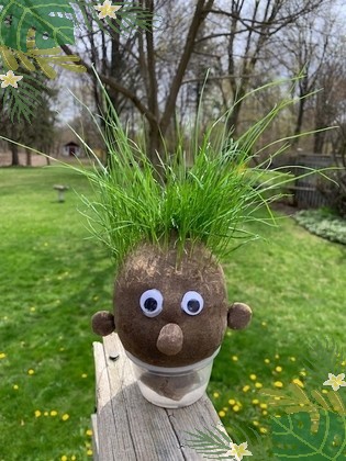 grass head hair cut