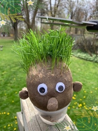 grass head hair cut