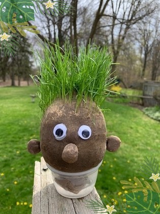 grass head hair cut