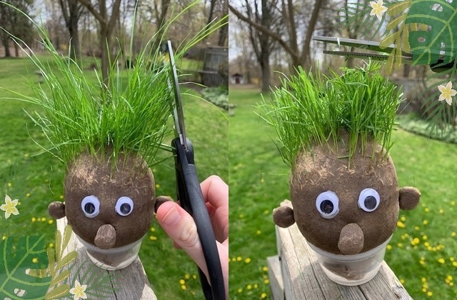 grass head hair cut