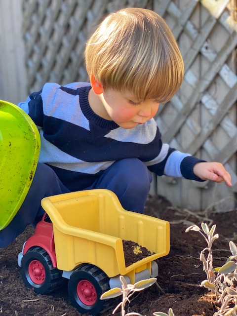 Fox filling a dump truck with soil