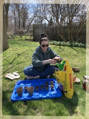 Rebecca planting