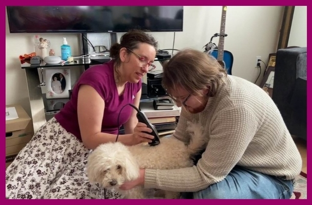 Nancy and David grooming the dog