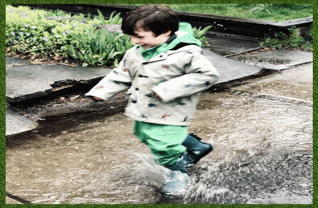 Max splashing in the rain