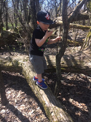 child balancing on a log