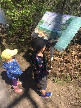 children looking through the conservation area map