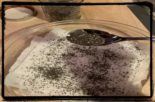 chia seed experiment
