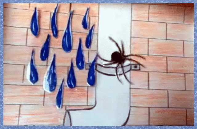Spider and raindrops illustration