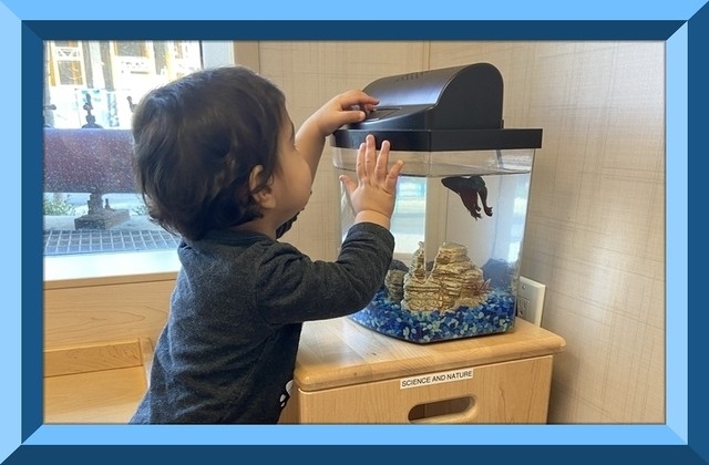 Child under 2 exploring the aquarium
