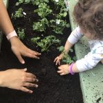 Child under 2 helping a teacher with gardening