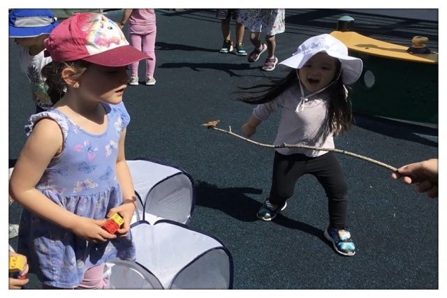 Casa children observing the butterfly