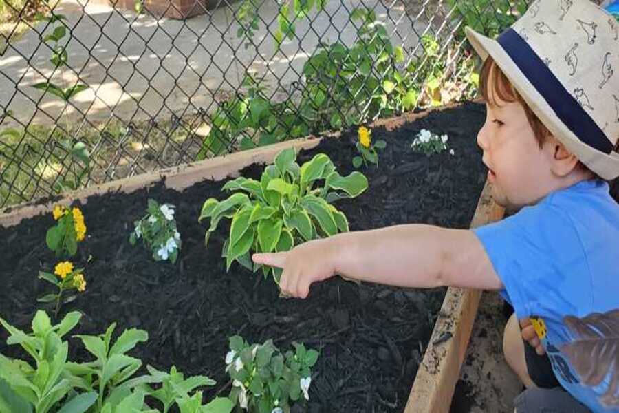 Child pointing at a flower