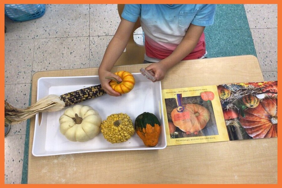 Exploring pumpkins, gourds and books