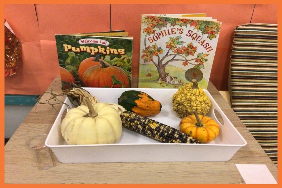 Exploring pumpkins, gourds and books