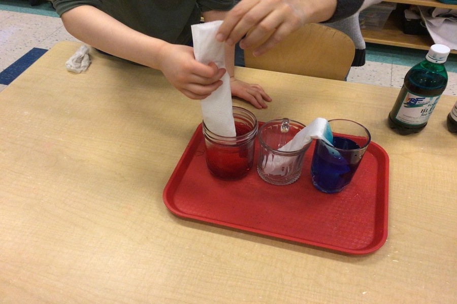 Placing folded paper towel into coloured water
