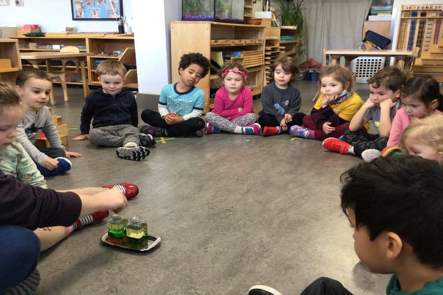 Children observing liquids