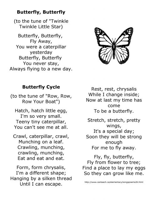 lyrics to 2 butterfly songs