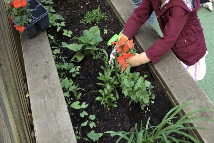 A child placing a flower into soil